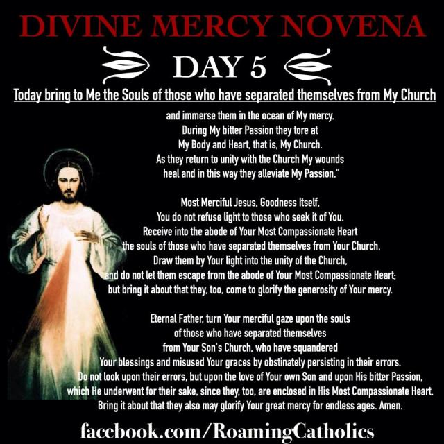Divine Mercy Novena 5