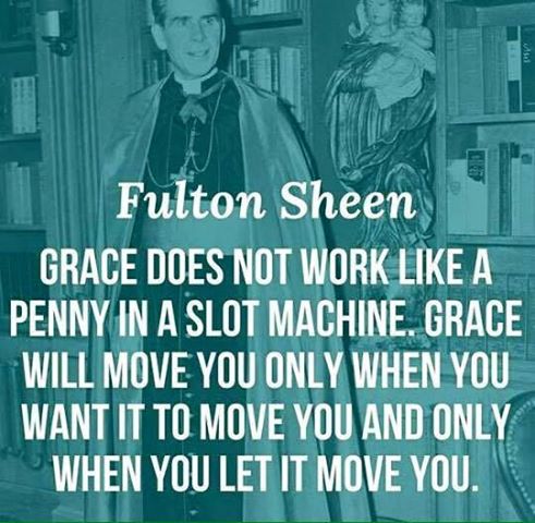 sheen-grace